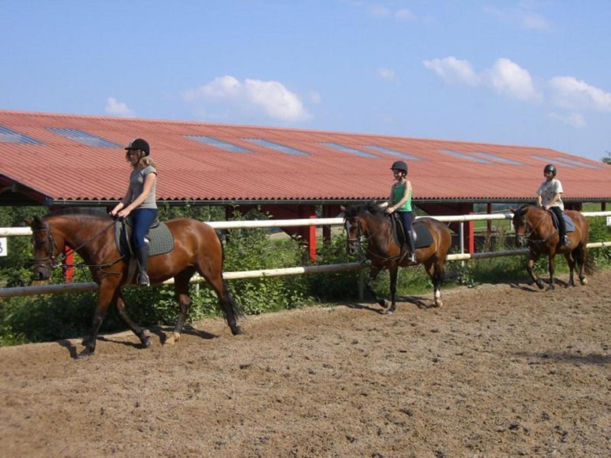 Ferienhof Pfeiffer Buchen  Bagian luar foto