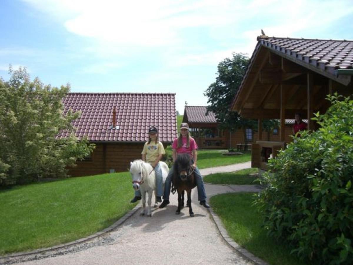Ferienhof Pfeiffer Buchen  Bagian luar foto