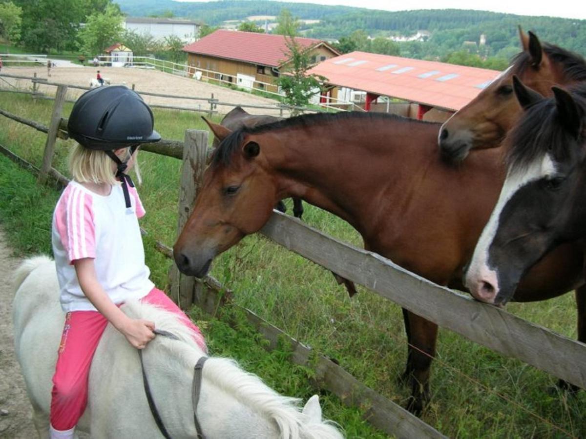 Ferienhof Pfeiffer Buchen  Bagian luar foto