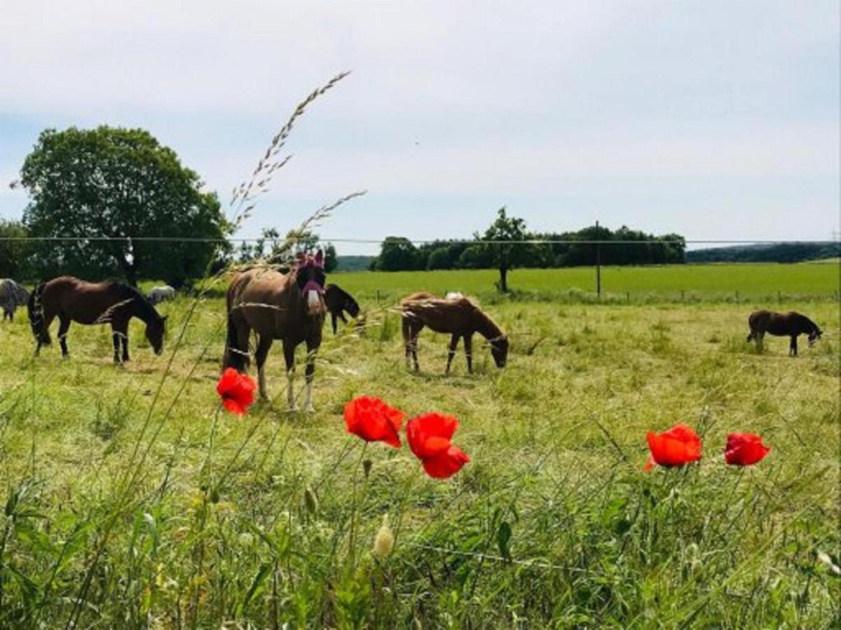 Ferienhof Pfeiffer Buchen  Bagian luar foto