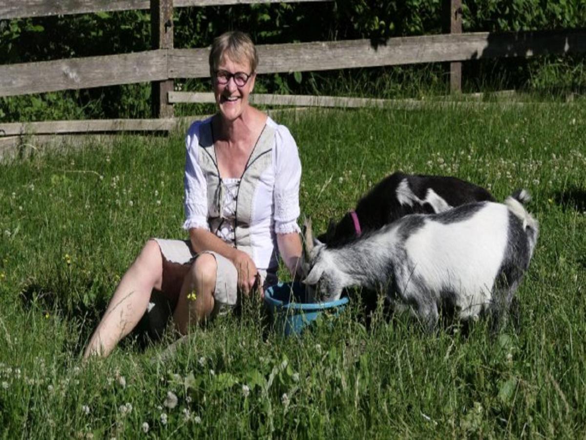 Ferienhof Pfeiffer Buchen  Bagian luar foto