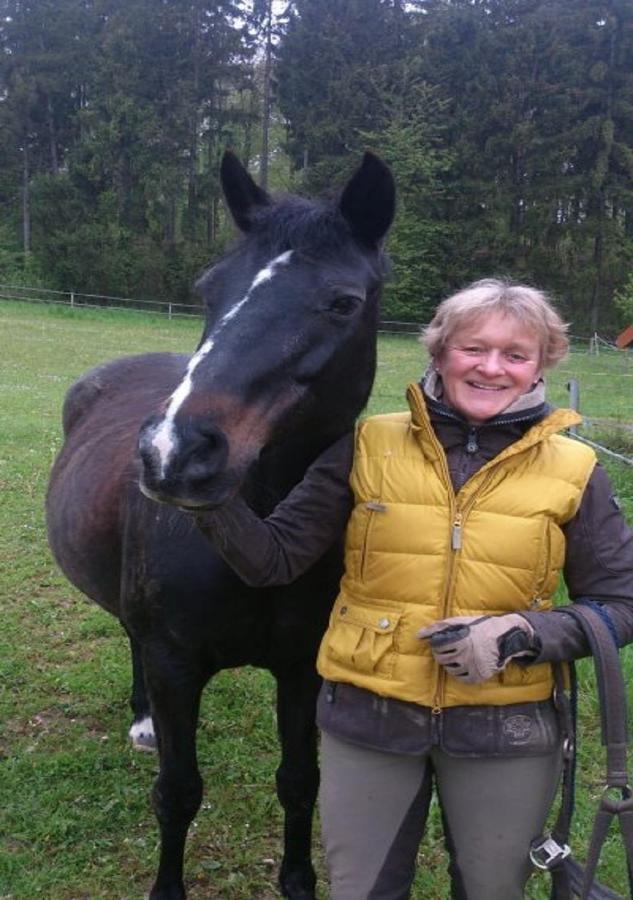 Ferienhof Pfeiffer Buchen  Bagian luar foto