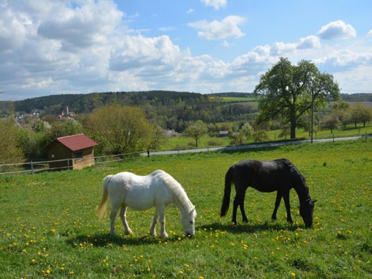 Ferienhof Pfeiffer Buchen  Bagian luar foto